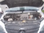 dscn5296